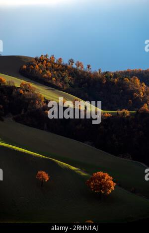 colline del Montefeltro nei caldi colori autunnali Banque D'Images