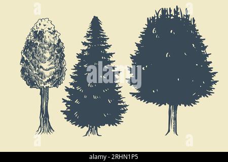 décoration naturelle dessinée à la main avec trois plantes de montagne isolées sur fond gris. Illustration de Vecteur