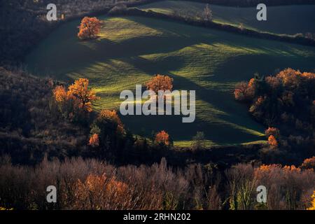 colline del Montefeltro nei caldi colori autunnali Banque D'Images