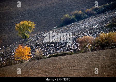 colline del Montefeltro nei caldi colori autunnali Banque D'Images