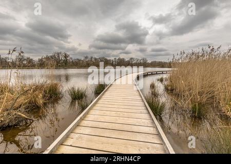 Promenade sur le lac au début du printemps dans la réserve naturelle la Brenne, France. Accessible aux personnes à mobilité réduite. Scène sauvage de la nature en Europe. Banque D'Images