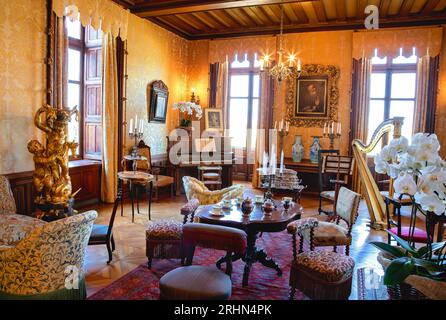 Le Grand salon au Château de Chaumont-sur-Loire, Vallée de la Loire, France Banque D'Images