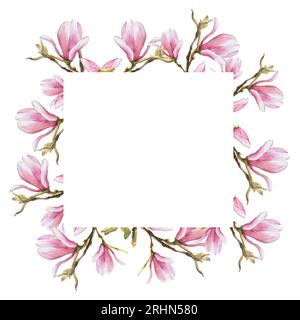 Célébrité carrée florale avec des fleurs de magnolias rose aquarelle, des bourgeons et des feuilles peintes à la main sur fond blanc illustration. Isolé. Conception pour mariage Banque D'Images