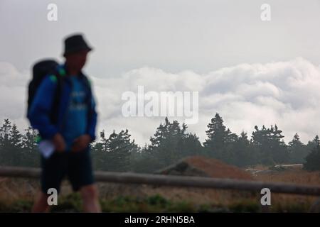 Schierke, Allemagne. 18 août 2023. Un randonneur marche dans le brouillard au-dessus du sommet de Brocken. Une mer de brouillard s'étendait sur les montagnes du Harz tôt le matin. Au cours de la journée, le brouillard se dissipe et le soleil passe plus. Crédit : Matthias Bein/dpa/Alamy Live News Banque D'Images