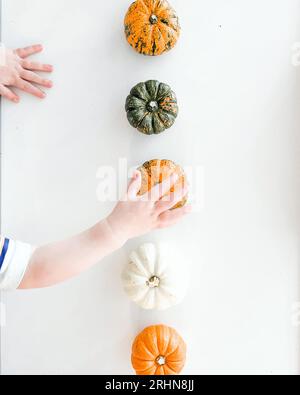 Main d'enfant avec ligne de petites citrouilles Banque D'Images