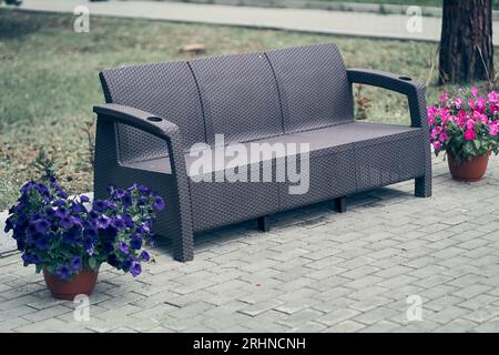 Vue latérale d'un banc de parc en plastique au soleil de l'après-midi, le long d'une pelouse herbeuse, dans un espace ouvert près de pots avec pétunias. Photo de haute qualité Banque D'Images