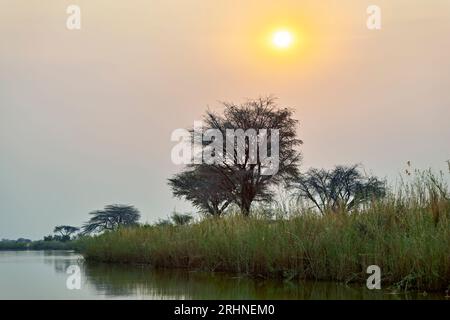 Namibie. Les rives de la rivière Okavango au crépuscule Banque D'Images