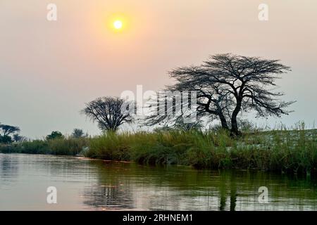 Namibie. Les rives de la rivière Okavango au crépuscule Banque D'Images