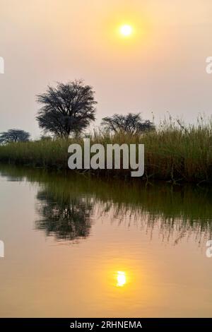 Namibie. Les rives de la rivière Okavango au crépuscule Banque D'Images