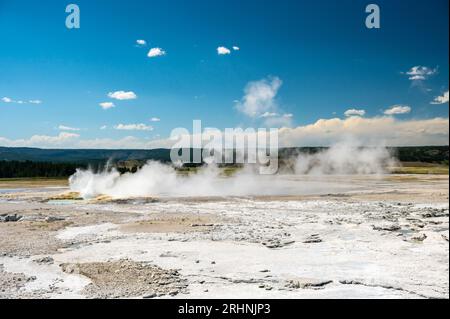 La vapeur monte de Fountain Geyser le jour d'été à Yellowstone Banque D'Images