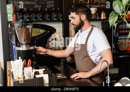 barista barbu en tablier utilisant un moulin à café tout en travaillant et debout dans un café Banque D'Images