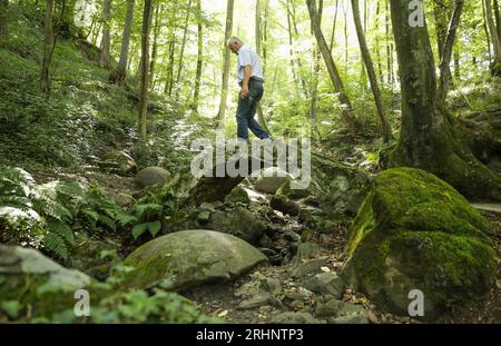 Tuzla, Bosnie-Herzégovine. 17 août 2023. Massive Stone Sphere sont vus dans le village de Zavidovici en Bosnie-Herzégovine le 9 août 2023. C'est la plus grande découverte de sphères de pierre en Europe. À ce jour, environ 60 d'entre eux ont été trouvés, dont 11 ont été conservés en excellent état et sont tous alignés le long d'un ruisseau dans la forêt et sont proches les uns des autres. Photo : Emica Elvedji/PIXSELL crédit : Pixsell/Alamy Live News Banque D'Images