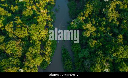 Rivière de l'Amazonie péruvienne qui a des forêts de plaine inondable sur les côtés, jungle pleine de faune dans l'Amazonie péruvienne Banque D'Images