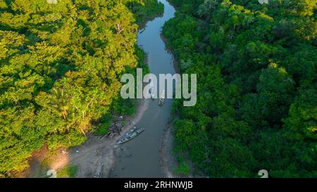 Rivière de l'Amazonie péruvienne qui a des forêts de plaine inondable sur les côtés, jungle pleine de faune dans l'Amazonie péruvienne Banque D'Images