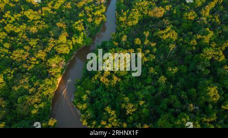 Rivière de l'Amazonie péruvienne qui a des forêts de plaine inondable sur les côtés, jungle pleine de faune dans l'Amazonie péruvienne Banque D'Images