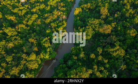 Rivière de l'Amazonie péruvienne qui a des forêts de plaine inondable sur les côtés, jungle pleine de faune dans l'Amazonie péruvienne Banque D'Images