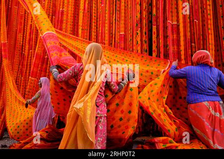 L'Inde, Rajasthan, Sari, usine textile sont séchés à l'air libre. La collecte des textiles à sec sont pliées par les femmes Banque D'Images