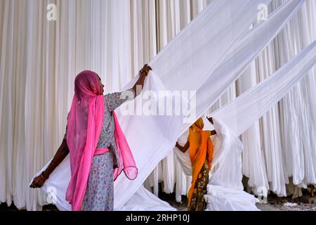 L'Inde, Rajasthan, Sari, usine textile sont séchés à l'air libre. La collecte des textiles à sec sont pliées par les femmes Banque D'Images