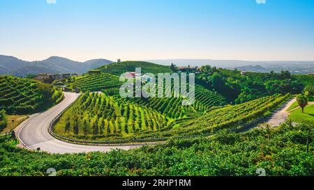 Vignobles et une route dans les collines de Prosecco, site du patrimoine mondial de l'UNESCO. Valdobbiadene, région de Vénétie, Italie Banque D'Images