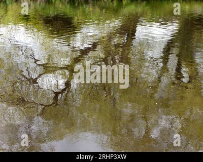 The River Tees at Yarm Neat Stockton on Tees, Teesside, Angleterre, Royaume-Uni Banque D'Images