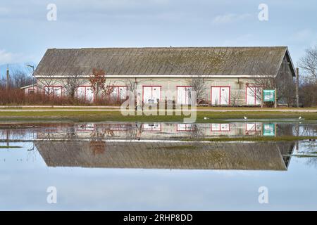 Promenade matinale filet Shed Reflection Garry point. Le hangar de filet historique à Garry point se reflétait dans un étang. Steveston. Richmond, C.-B. Banque D'Images