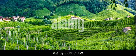 Célèbre région viticole à Trévise, Italie. Collines et vignobles de Valdobbiadene sur la célèbre route des vins de Prosecco et villages pittoresques Banque D'Images