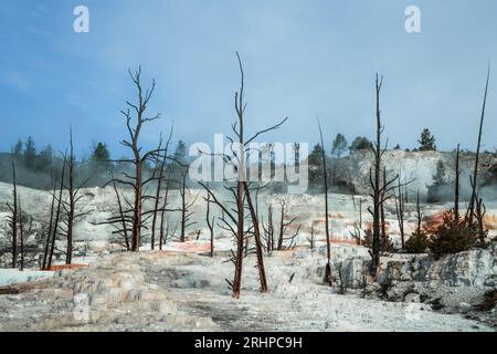 Paysage vu de Mammoth Hot Springs dans le parc national de Yellowstone, Wyoming Banque D'Images