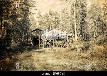 Vieille cabane démolie dans la forêt, aliénée Banque D'Images