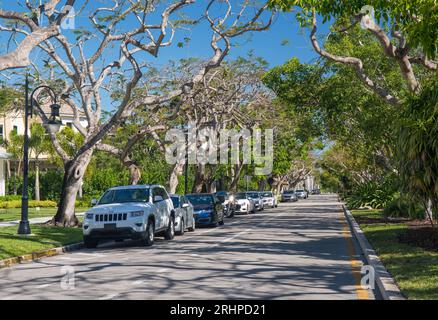 Naples, Floride, États-Unis. Vue le long de la 6th Street South bordée d'arbres, une route résidentielle au large de la 5th Avenue South, la rue commerçante la plus exclusive de la ville. Banque D'Images