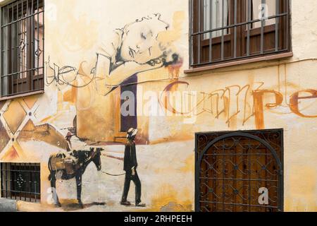 Espagne, Andalousie, Grenade, Realejo, streetart, graffiti, artiste : Raul Ruiz, 'El Nino de las Pinturas', homme avec âne Banque D'Images