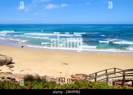 Plage de surf populaire, Praia do Amado, Océan Atlantique, Carrapateira, Costa Vicentina, Algarve, district de Faro, Portugal, Parque Natural do Sudoeste Alentejano e Costa Vicentina Banque D'Images