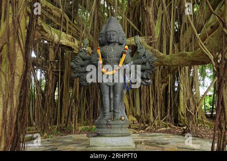 La statue de granit Lord Shanmuga, avec six visages et douze bras, se dresse parmi un arbre banian tentaculaire au monastère hindou de Kauai à Hawaï. Banque D'Images