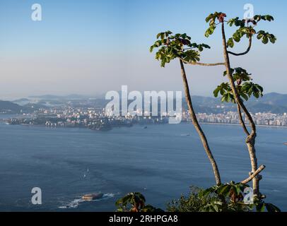 Rio de Janeiro, Brésil : superbe vue panoramique sur les gratte-ciel de Niteroi depuis Morro da Urca (montagne Urca), première station du téléphérique du pain de sucre Banque D'Images