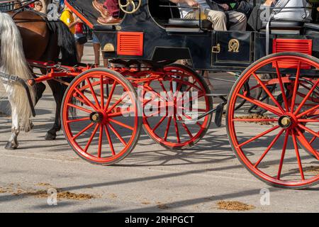 Art équestre exposé, les chevaux effectuent du dressage dans le cadre animé de Malaga Fair, un joyau de la tradition et de la fête espagnoles Banque D'Images