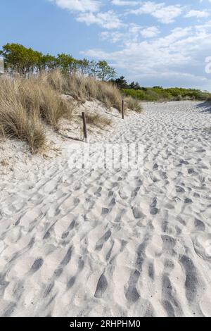 Allemagne, mer Baltique, Markgrafenheide, pistes de sable blanc sur le chemin des dunes Banque D'Images