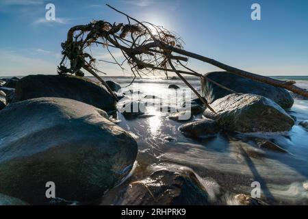 Hiddensee, plage en face de la falaise dans le soleil d'été, Mecklembourg-Poméranie occidentale Banque D'Images