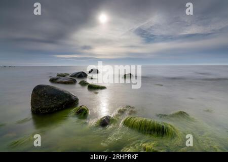 Hiddensee, plage en face de la falaise dans le soleil d'été, Mecklembourg-Poméranie occidentale Banque D'Images