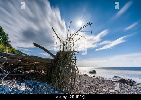 Hiddensee, impression de la plage en face de la falaise en été, Mecklembourg-Poméranie occidentale Banque D'Images