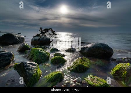 Hiddensee, plage en face de la falaise dans le soleil d'été, Mecklembourg-Poméranie occidentale Banque D'Images