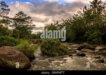 Rivière entourée par la nature dans les rizières au milieu de la nature, Sidemen, Bali Banque D'Images