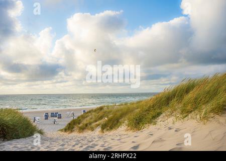 Traversée de plage près de Kampen sur Sylt contre ciel nuageux dramatique Banque D'Images