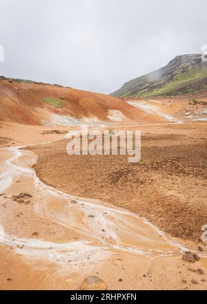 Au début de l’été 2021, Krysuvík, également appelé Trölladyngja, est un système volcanique sur la péninsule de Reykjanes en Islande avec des pots de boue et des sources chaudes. Banque D'Images