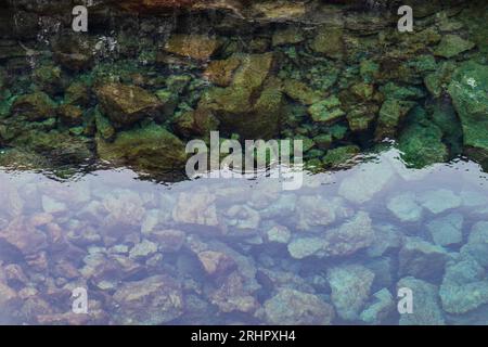 Sud-Ouest de l'Islande au début de l'été 2021, eau claire dans Silfra fissure, spot de plongée mondialement connu. Une crevasse longue d'un kilomètre dans le parc national islandais de pingvellir qui se jette dans pingvallavatn. La fissure a été formée par la dérive des plaques nord-américaine et eurasienne. Il s'élargit d'environ 7 mm chaque année. Banque D'Images