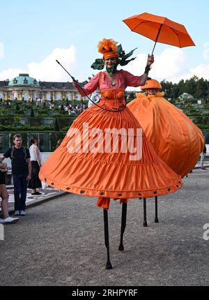 Potsdam, Allemagne. 18 août 2023. Artistes du groupe Naranja à la 25e nuit du château de Potsdam dans le parc de Sanssouci, qui a lieu les 18 et 19 août. Avec le titre 'prachtig' une touche néerlandaise a été donnée au programme. Un monde de conte de fées de danse, théâtre, musique, acrobaties, lectures, des installations lumineuses et des délices culinaires seront proposés dans le parc du palais de Sanssouci. Crédit : Britta Pedersen/dpa/Alamy Live News Banque D'Images