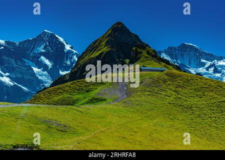 Col de Mannlichen, Alpes suisses en été Banque D'Images