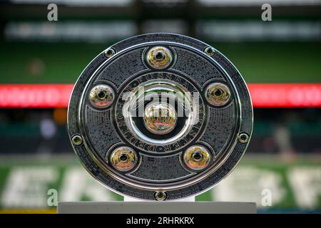 Feature, le trophée du championnat, football 1e Bundesliga, 1e journée de match, SV Werder Bremen (HB) - FC Bayern Munich (M), le 18 août 2023 à Brême / Allemagne. La réglementation #DFL interdit toute utilisation de photographies comme séquences d'images et/ou quasi-vidéo # Banque D'Images