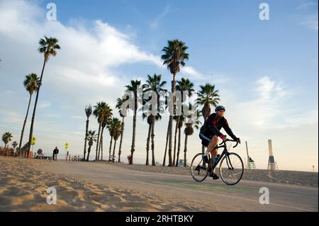 Un cycliste avec un casque passe devant une rangée de palmiers le long de la piste cyclable à Santa Monica, Californie, États-Unis Banque D'Images