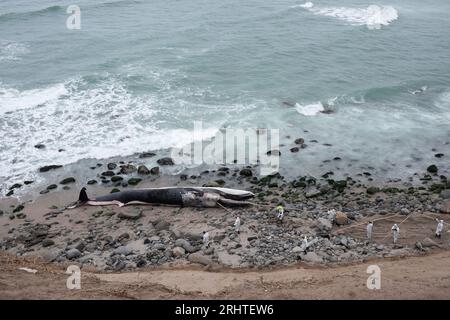 Côte des baleines échouées du Pérou. Plage de Punta Hermosa. Lima Banque D'Images