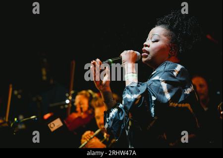 Sedgefield, Royaume-Uni. 18 août 2023. Hacienda Classical, avec Graeme Park, Manchester Camerata et Peter Hook se produisent au Hardwick Festival. Crédit : Thomas Jackson/Alamy Live News Banque D'Images