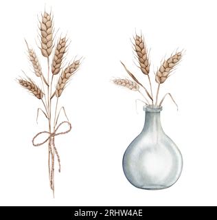 Épis de blé dans un pot de vase en verre. Récolte d'automne. Illustration de peinture à la main aquarelle sur fond blanc isolé. Pour la boulangerie design, maison Banque D'Images